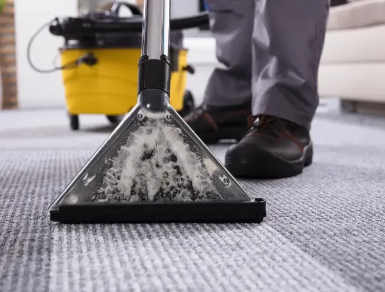 Are you ready to experience a consistently clean and fresh space